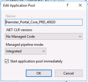 IIS site setting
